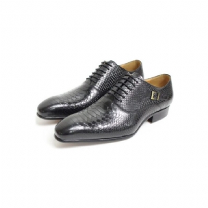 Formale Herrenschuhe Executive Oxford Business-schuhe