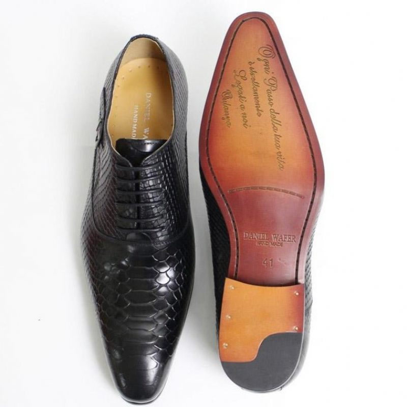 Formelle Herrenschuhe Exotische Schlangen-oxford-schuhe Mit Spitzer Zehenpartie - Schwarz